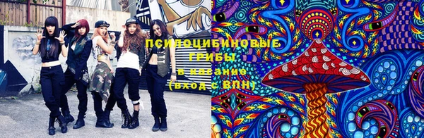 эйфоретик Арсеньев